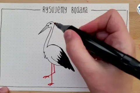 Bocian krok po kroku: Jak narysować symbol wiosny z dzieckiem?