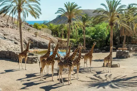 Fuerteventura: Najpiękniejsze Miejsca. Czy znasz te perełki?