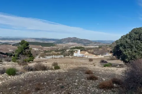 Paisaje de la sierra maria con una iglesia blanca y un campanario, rodeada de vegetación y montañas al fondo.
