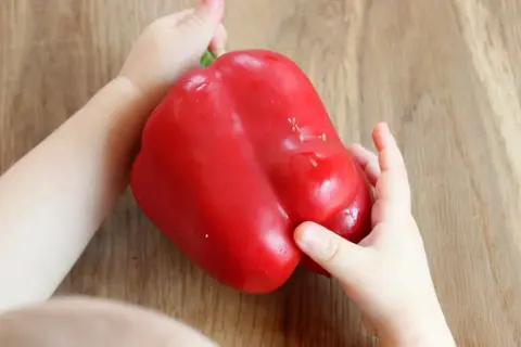 Kleine Hände halten eine rote Paprika. Wann ist Paprika für Babys geeignet? Ab dem 6. Monat kann man mit Beikost beginnen.