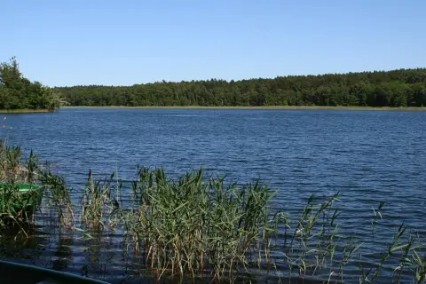 Idealne jezioro w Kujawsko-Pomorskiem? Znajdź je z ekspertem!