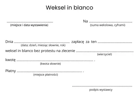 Formularz weksla in blanco do wypełnienia, zawierający pola na miejsce i datę wystawienia, sumę wekslową, datę, kwotę słownie, miejsce płatności i podpis wystawcy.