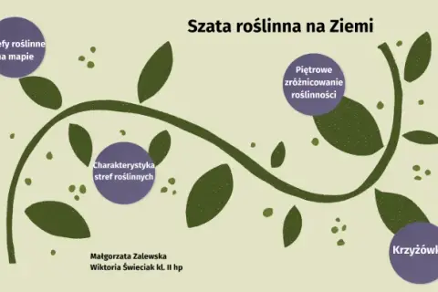 Co to jest szata roślinna i jak wpływa na nasze środowisko?
