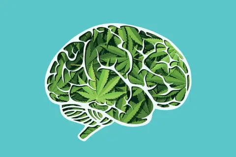 THC: Jak działa na mózg? Efekty, ryzyka, medycyna, wykrywalność.