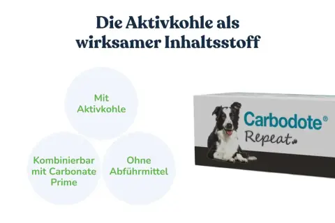 Carbodote Repeat: Aktivkohle für den Hund. Hilft bei Verdauungsproblemen, ohne Abführmittel.