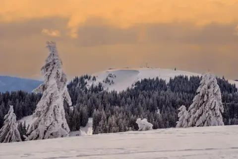 Schwarzwald höchste Berge: Feldberg, Belchen & Herzogenhorn entdecken