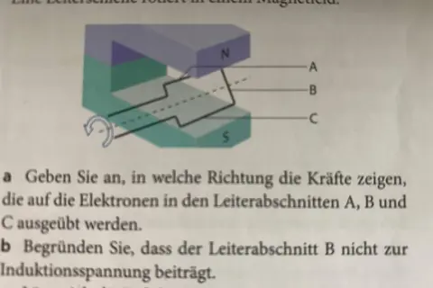 Eine Leiterschleife rotiert in einem Magnetfeld. Die Abbildung zeigt einen Nord- und Südpol eines Magneten, zwischen denen sich die Schleife dreht.