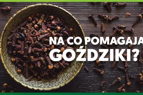 Napar z goździków na co pomaga? Miska pełna goździków, aromatycznej przyprawy o wielu właściwościach leczniczych.