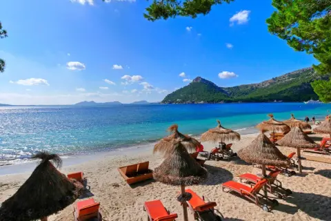 Plaża z leżakami i parasolami pod palmami, turkusowa woda i góry w tle.