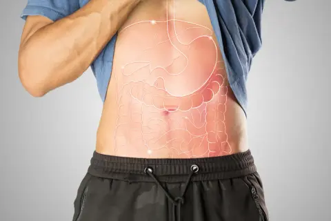 Anatomia jamy brzusznej z zaznaczonymi narządami, w tym żołądkiem i jelitami. Woreczek żółciowy, kluczowy dla trawienia tłuszczów, jest częścią tego układu.