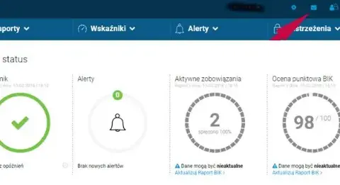Jak sprawdzić czy jestem w BIK za darmo i uniknąć nieprzyjemności
