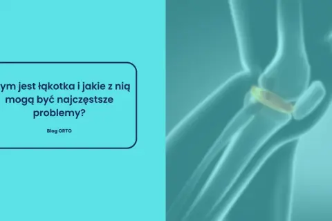 Ilustracja anatomiczna stawu kolanowego z widoczną łąkotką.