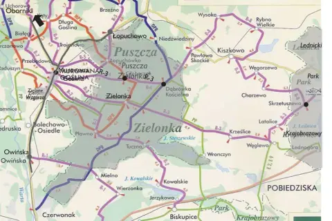 Puszcza Zielonka oferuje liczne trasy rowerowe, idealne na aktywny wypoczynek.