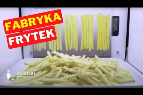 Na czym McDonald's smaży frytki w Polsce? Skład i prawda