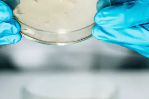 Jak założyć laboratorium mikrobiologiczne - kluczowe wymagania i procedury