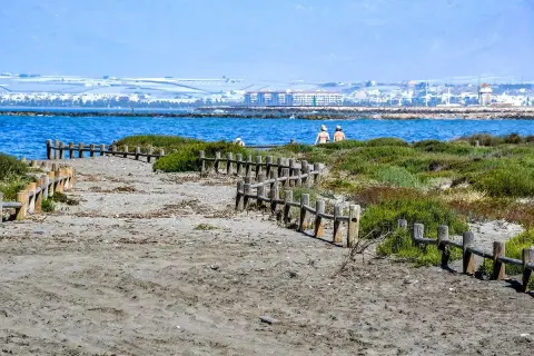 Camino de madera en la playa de Punta Entinas Sabinar, con vegetación y el mar azul al fondo.