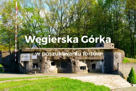 Węgierska Górka: zwiedzanie historycznych bunkrów. Potężne fortyfikacje z zielenią w tle.