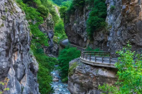 Un camino serpentea por un desfiladero en los Picos de Europa, flanqueado por imponentes paredes rocosas y vegetación exuberante.