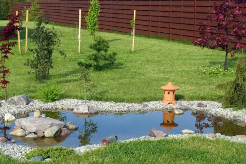 Un étang paisible avec des pierres, une lanterne japonaise et une plante bassin ornementale.