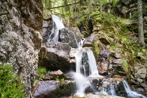 Ein malerischer zwiesel wasserfall stürzt über moosbewachsene Felsen in einem dichten Wald.