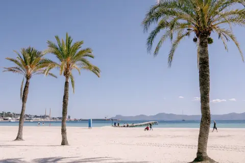 Palmy nad piaszczystą plażą Playa de Muro, błękitne morze i góry w oddali. Ludzie spacerują, ciesząc się słońcem.