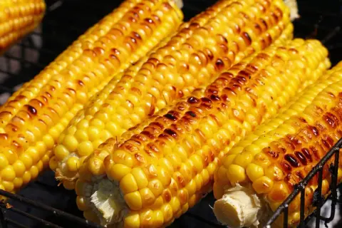 Pannocchie dorate e succose, pronte per essere gustate. Ecco come cucinare le pannocchie alla griglia per un sapore indimenticabile.