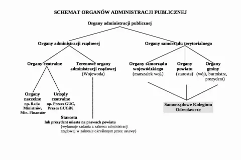 Schemat organów administracji publicznej: kiedy burmistrz, kiedy prezydent, a kiedy starosta.