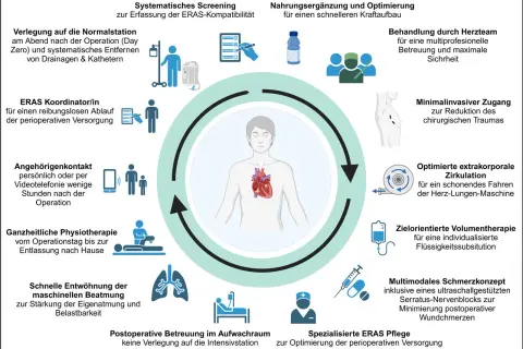 Das ERAS Konzept zeigt den Kreislauf der perioperativen Versorgung mit Fokus auf Patientenzentrierung und schnelle Genesung.