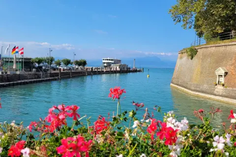 Fiori rossi e bianchi incorniciano il sirmione lungolago, con il molo, il battello e le montagne sullo sfondo.