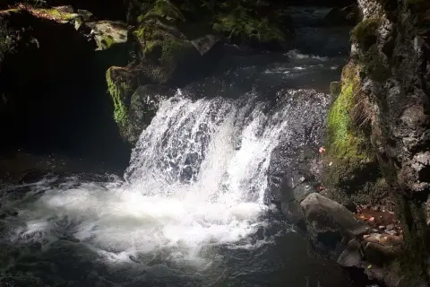 La cascade de Chiloza déverse ses eaux tumultueuses sur des rochers moussus, créant un spectacle naturel saisissant dans la pénombre d'une forêt.