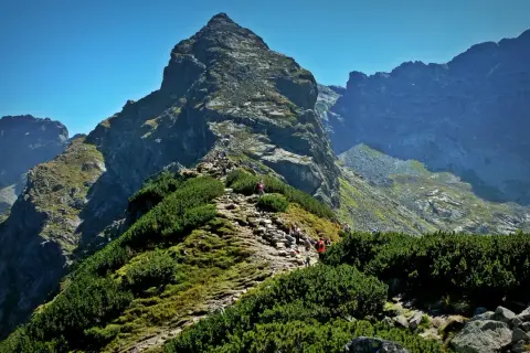 Szlak na polski Matterhorn, Tatry. Grupa turystów wspina się kamienistą ścieżką wśród kosodrzewin.