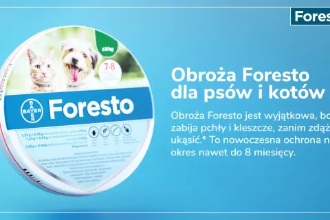 Obroża Foresto kiedy zdjąć – uniknij problemów z pchłami i kleszczami