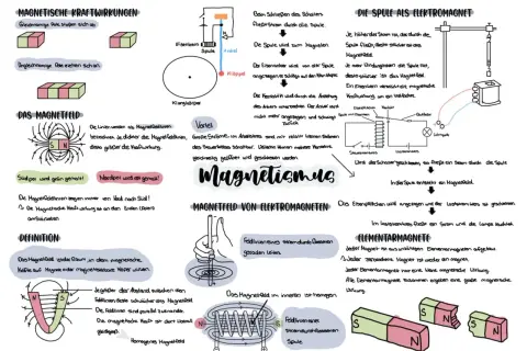 Magnetismus Physik: Magnetfeldlinien zeigen Kraftwirkung. Gleichnamige Pole stoßen, ungleichnamige ziehen sich an. Magnetfeld ist Raum mit magnetischen Kräften.