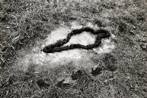 A dark, organic shape resembling a snake or a twisted rope lies in a patch of light soil, surrounded by grass. Handprints are visible in the foreground, part of the silueta series.
