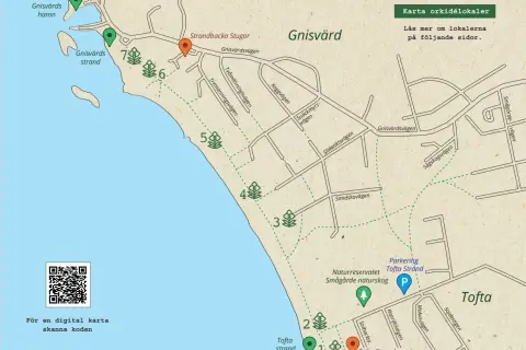 Karta över Gnisvärd och Tofta strand, med markerade orkidélokaler och en kuststigen karta. QR-kod för digital karta.