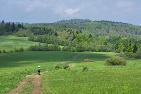 Samotny turysta na ścieżce Głównego Szlaku Beskidzkiego, otoczony zielonymi łąkami i lasami.