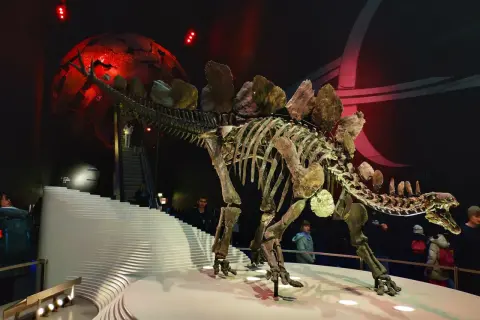 Szkielet dinozaura w muzeum w Londynie, z czerwoną kulą i schodami w tle.