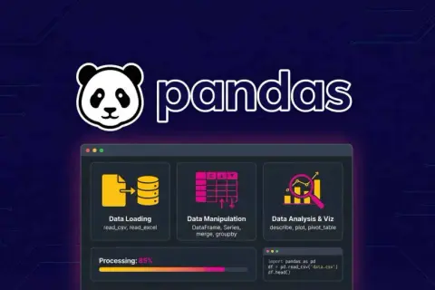 Interface de programmation pour l'analyse de données avec pandas. Chargement, manipulation et visualisation de données.