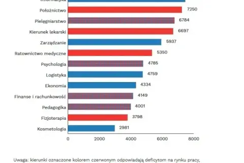 Zarobki po studiach ekonomicznych: co naprawdę zarabiają absolwenci?