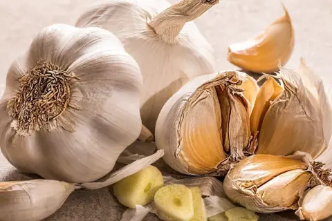 Mehrere Knoblauchzehen und ganze Knoblauchköpfe liegen auf einer grauen Oberfläche. Die Frage, wie lange ist Knoblauch haltbar, wird hier visuell beantwortet.