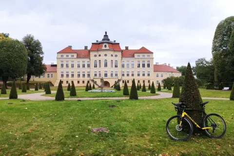 Pałac w Strykowie z żółtą ramą roweru na pierwszym planie, otoczony zadbanym parkiem z rzędami stożkowych drzew.