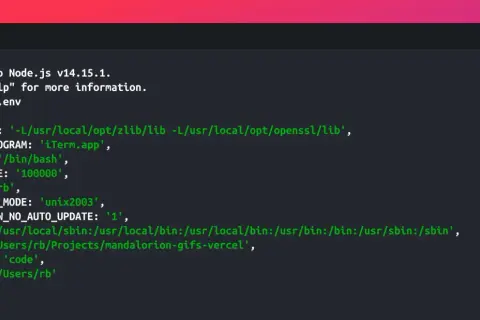 Terminal affichant les variables d'environnement de Node.js, incluant `process.env`, dans un environnement de développement.