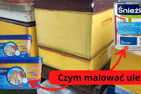 Czym malować ule poliuretanowe, aby uniknąć złuszczania farby?