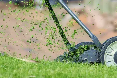 Le scarificateur de pelouse en action, projetant des brins d'herbe coupée dans les airs.