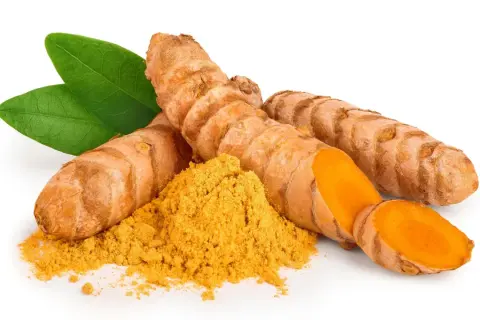 Frische Kurkumawurzeln und Pulver, bereit, die Gesundheit zu stillen.