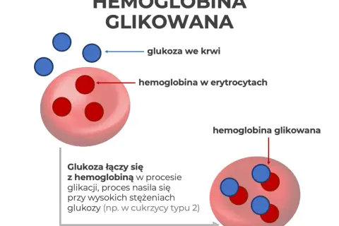 Hemoglobina glikowana (HbA1c): Co oznacza Twój wynik?