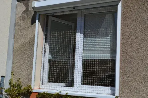 Siatka zabezpiecza okno przed kotem, umożliwiając jego uchylenie.