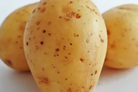 Tres patatas crudas con pequeñas manchas oscuras. ¿Te atreverías a comer patata cruda?