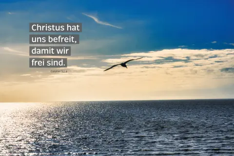 Ein Vogel fliegt über das Meer. Der Text "Christus hat uns befreit, damit wir frei sind." (Galater 5,1 a) vermittelt bibelzitate hoffnung.