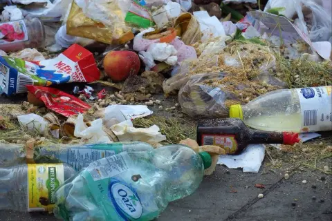 Jak segregować śmieci w Rybniku – uniknij najczęstszych błędów